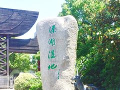 -溱湖国家湿地公园