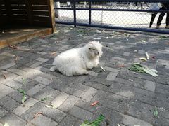 -长白岛森林公园