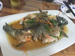 -悠悠美食