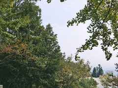 -冶父山国家森林公园