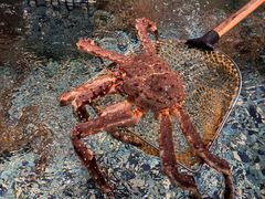 -长福宫·新疆海鲜宴(天津路店)