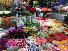 -双季花艺园艺市场(浦东店)