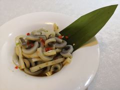 冰镇鱼唇-宣和苑(华侨新村店)