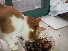 -爱侣宠医·鹦鹉专科·小型哺乳类·异宠专科(灵石路店)