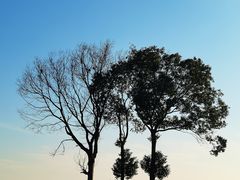 -莲花岛景区