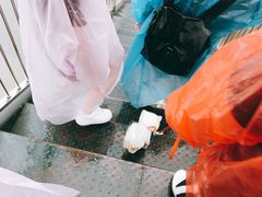 -梦幻奥陶纪景区