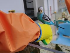 -怪兽屋·羊驼·猫咖·狗咖(俊华广场店)