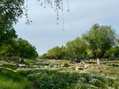 -汉长安城未央宫国家考古遗址公园