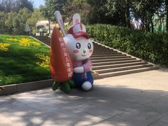 -杭州少年儿童公园