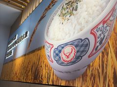 -吉野家(回龙观同成街店)