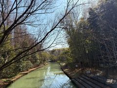 -同里国家湿地公园