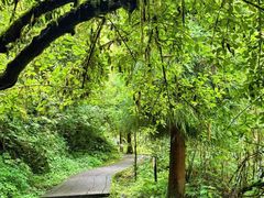-西岭雪山大飞水景区