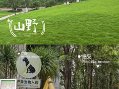 -龙头寺公园