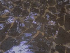 -龙达温泉生态城