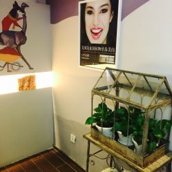 点击看大图 -光SPA科技美肤