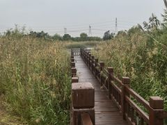 -嘉北郊野公园