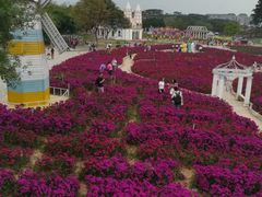 -松山湖梦幻百花洲