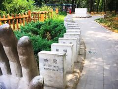 -北京麋鹿生态实验中心