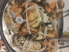 -半岛听涛蒸汽海鲜自助(K11店)