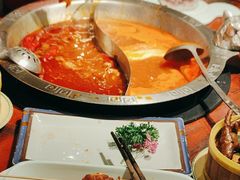 -袁老四重庆老火锅(桐梓坡店)