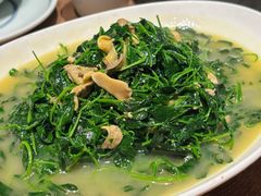 河蚌秧草-周家二小姐的菜(西津渡店)