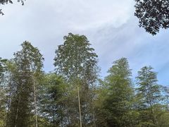 -黄公望隐居地