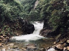 -姑婆山旅游区