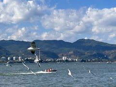 -海埂大坝