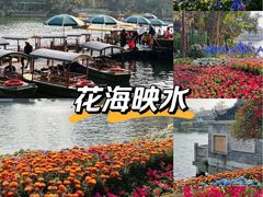 -荔湾湖公园