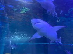 -常州海昌海洋探索馆