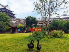 -长兴太湖图影湿地文化园