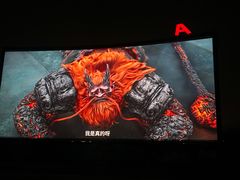 -枫花园汽车电影院(朝阳公园店)