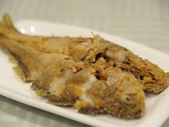 -乔家栅(襄阳南路店)
