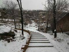 -白水寺森林公园