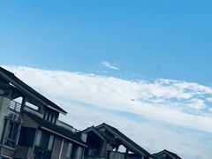-府河摄影公园
