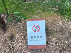 -同里国家湿地公园