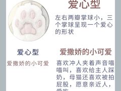 -翊宠yipet猫狗购宠庄园犬舍•猫舍
