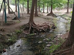 -白水寺森林公园