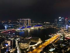 -新加坡瑞士史丹福酒店