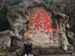 -杭州黄龙洞