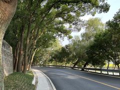 -上海佘山国家森林公园天马山园