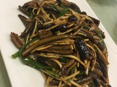 -丁老爷子苏香圆