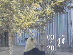 -大青山野生动物园