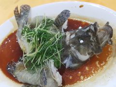 -蚝专家(北滘店)