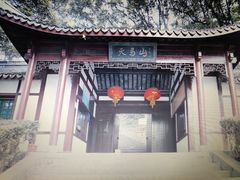 -上海佘山国家森林公园天马山园