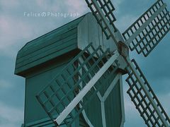-南沙蒲洲花园