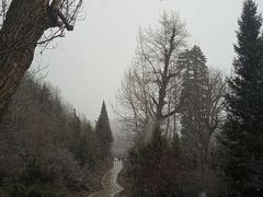 -米堆冰川