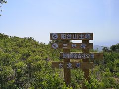 -阳台山自然风景区