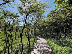 -大围山国家森林公园