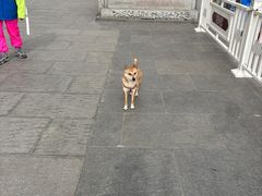 -宗角禄康公园